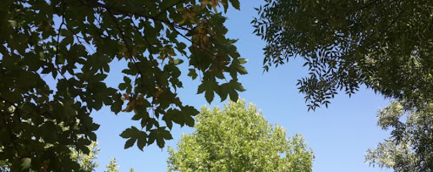 Belediye Parkı