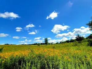 Pioneer Ridge
