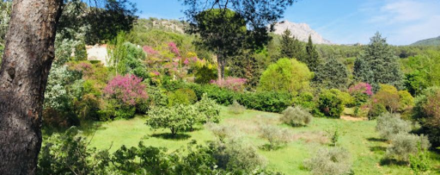 Parc Du Tholonet