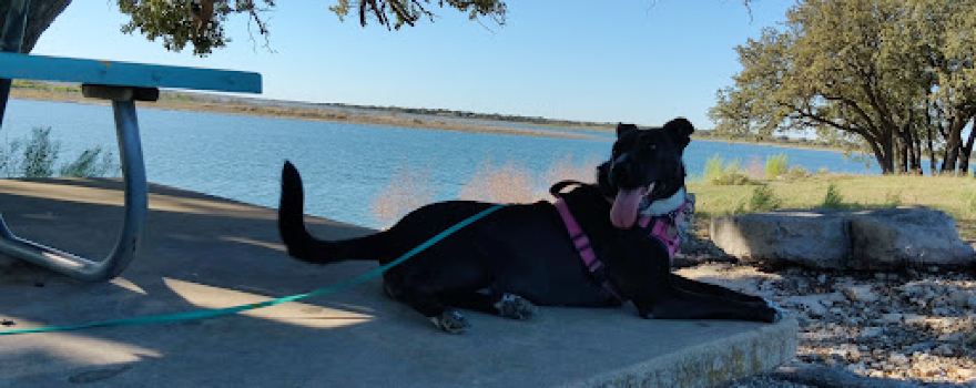Brady Creek Reservoir