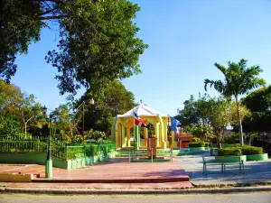 Parque Municipal De Vicente Noble