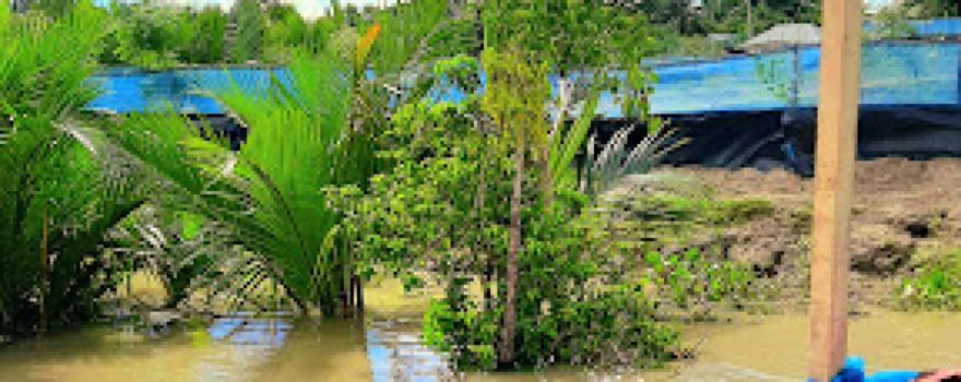 সুন্দরবন Sundarbans