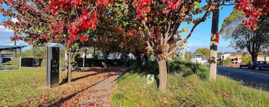 Narwee Park