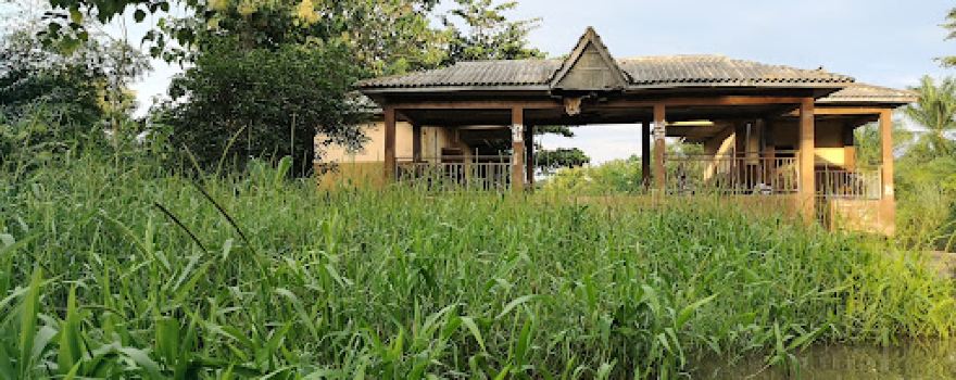 forêt marécageuse de Lokoli