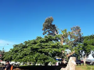 Puriscal Farmers Park