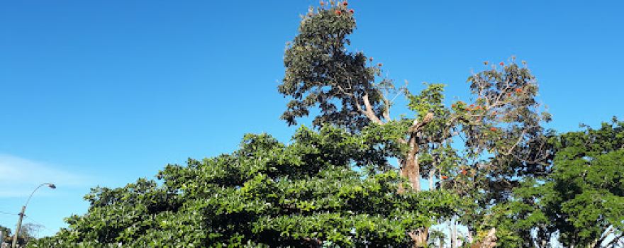 Puriscal Farmers Park