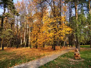 Park Kul'tury I Otdykha