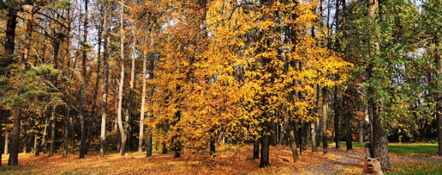 Park Kul'tury I Otdykha