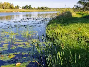 Alliance Lake Softball Park