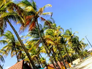 Manzanilla Beach