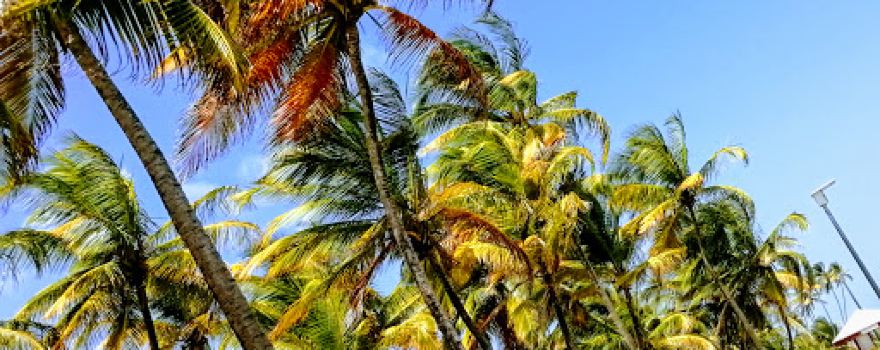 Manzanilla Beach