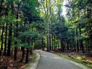 Cartier Park