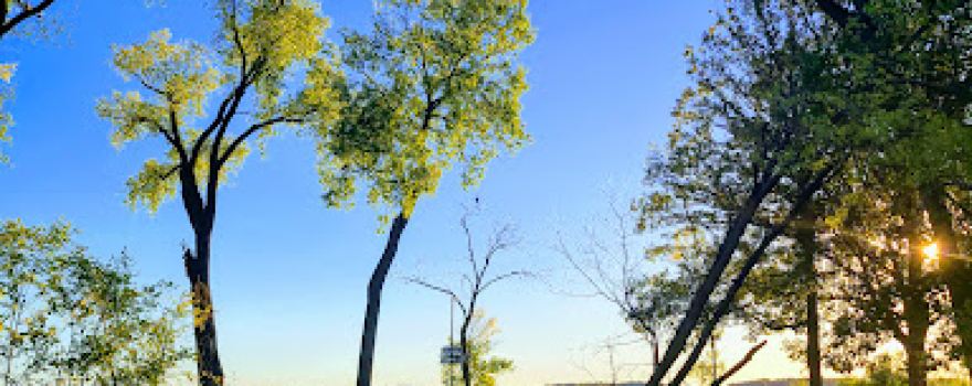 McDaniel Park