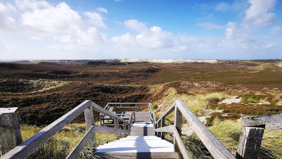 Aussichtspunkt „Dünenbalkon“ der Naturschutzgemeinschaft (NSG) Sylt bei List