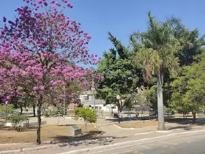 Estátua do Menino Maluquinho Caratinga