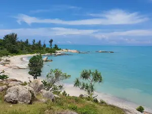 Pantai Tikus