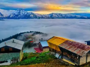 Riza Ezgi Tourism