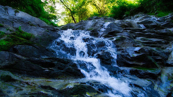 Namerigafuchi