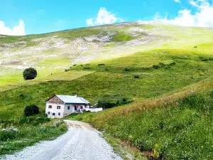 Taşlı Yaylası