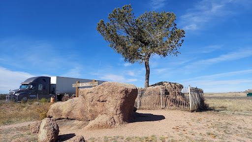 Tree In The Rock