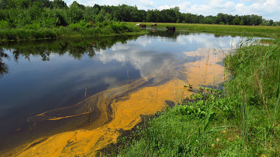 BFC (Bussumse Football Club)