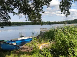 Leśna Wiata Edukacyjna