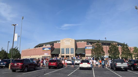 Delmarva Shorebirds