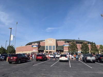 Delmarva Shorebirds
