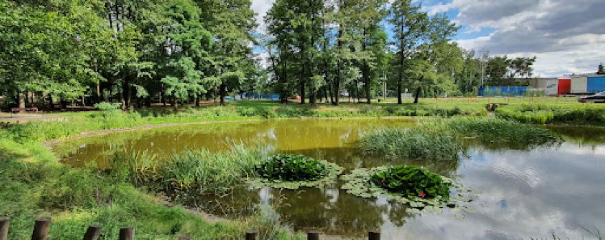 Park Przeźmierowo-Olszynowa
