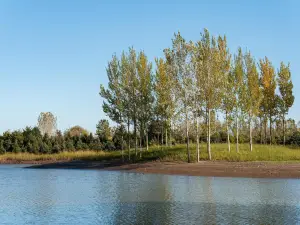 West Dongting Lake Wetland Ecotourism Scenic Area