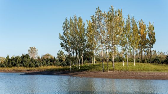 West Dongting Lake Wetland Ecotourism Scenic Area