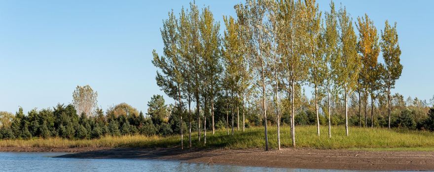 West Dongting Lake Wetland Ecotourism Scenic Area