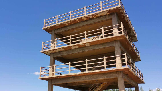 Jilin Momoge National Nature Reserve - Viewing Platform