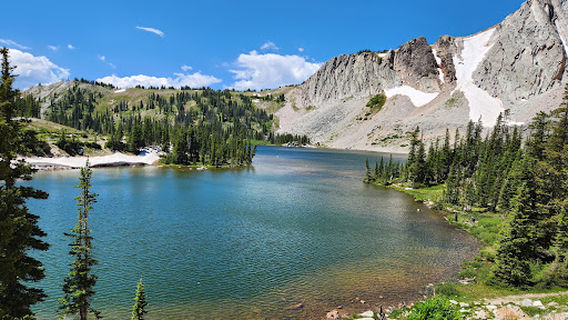 Medicine Bow-Routt National Forests