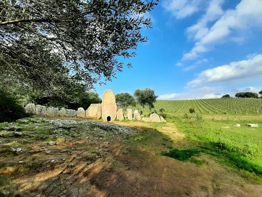 Giants' grave of Coddu Vecchiu