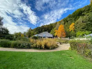 Rêves Woods
