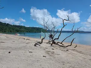 Playa Nacascolo