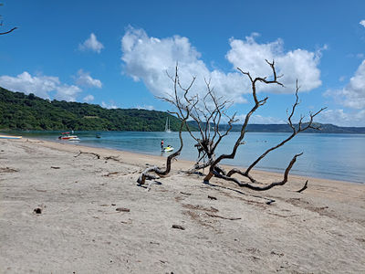 Playa Nacascolo