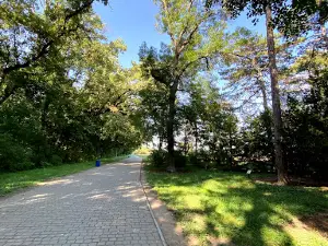 Dendropark Askaniya-Nova