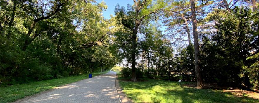 Dendropark Askaniya-Nova