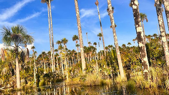 Tambopata expeditions