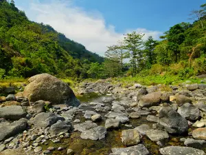 Desa Wisata Tempur