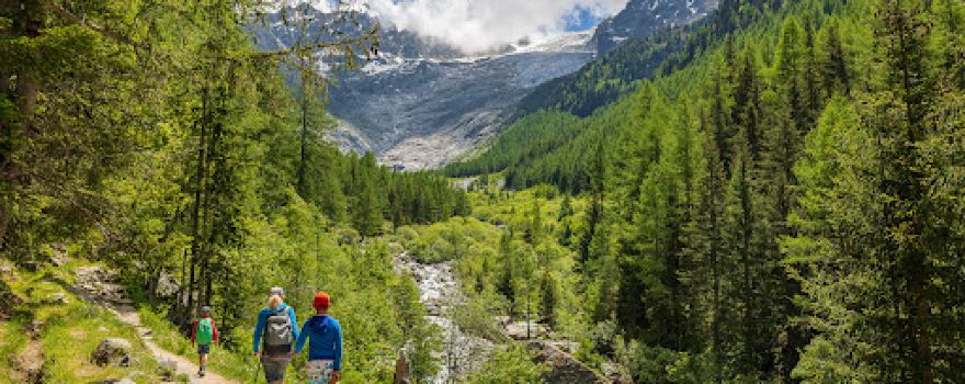 Bisse du Trient