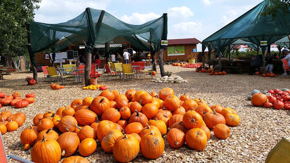 Erlebnisplantage Moritzburg