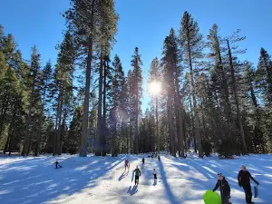 고앗 미도우 트레일헤드 & 스노 플레이