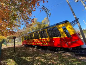 Chattanooga Guided Adventures