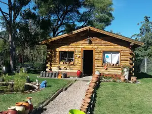 Paseo del Pinar