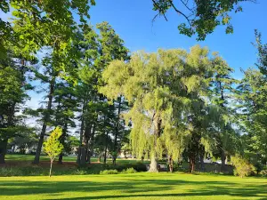 Rollins Park