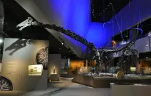 Lee Kong Chian Natural History Museum, Singapore