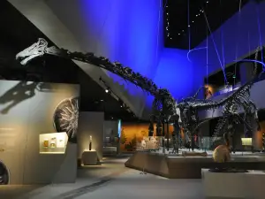 Lee Kong Chian Natural History Museum, Singapore